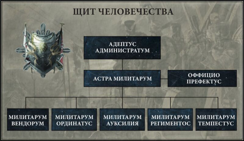Файл:AMStructure — Fandom.jpg